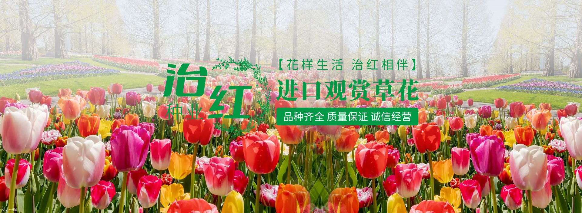 蘇州鍍錫